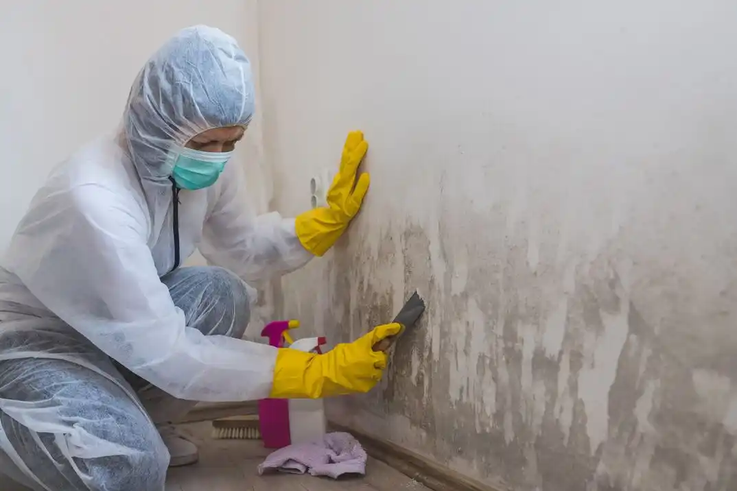 water damage restoration service Grasmere